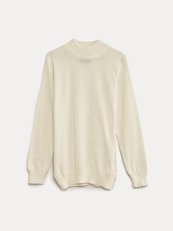 Водолазка мужская (1104M) 